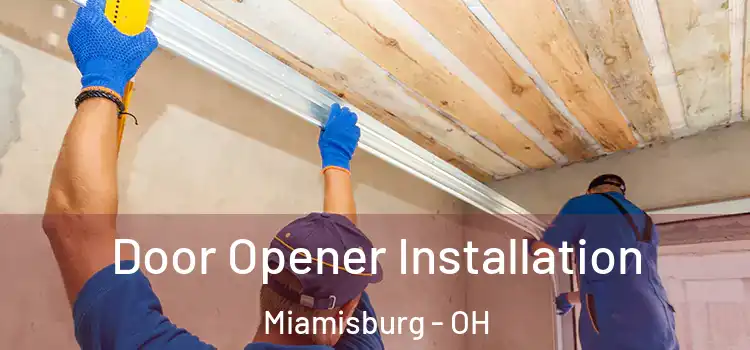  Door Opener Installation Miamisburg - OH