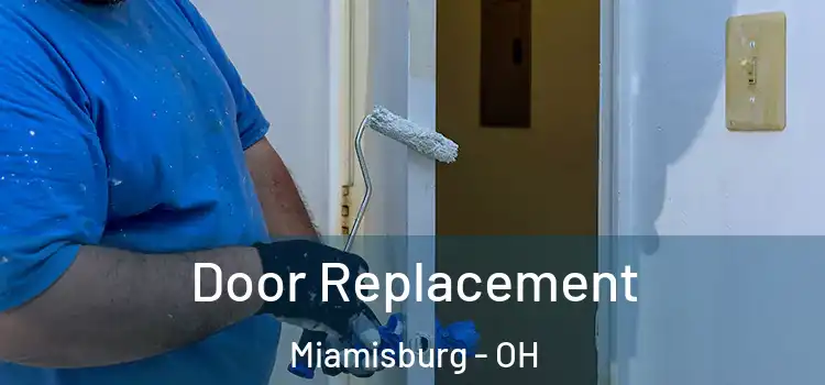  Door Replacement Miamisburg - OH