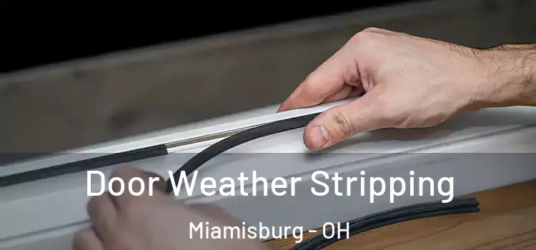  Door Weather Stripping Miamisburg - OH