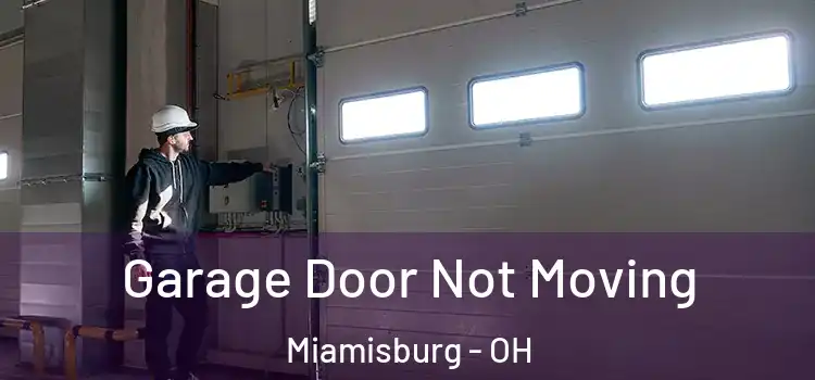  Garage Door Not Moving Miamisburg - OH