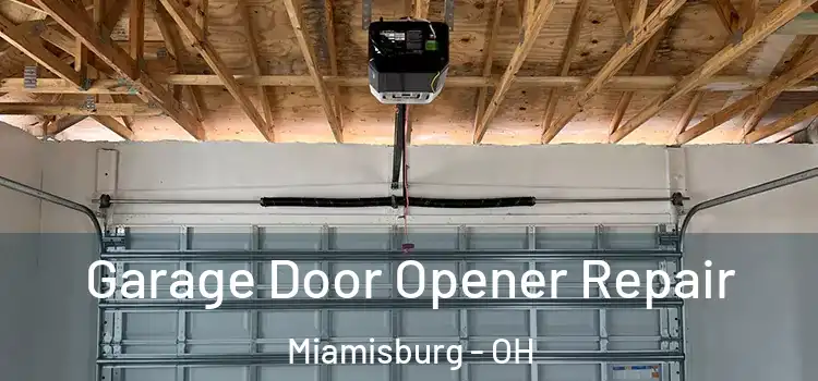  Garage Door Opener Repair Miamisburg - OH