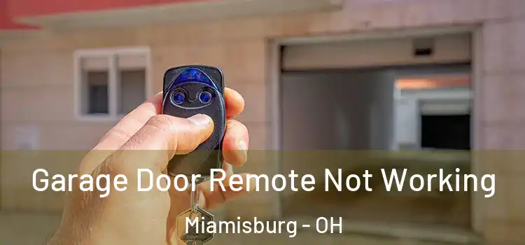  Garage Door Remote Not Working Miamisburg - OH