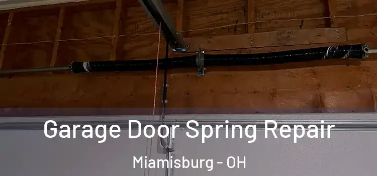  Garage Door Spring Repair Miamisburg - OH